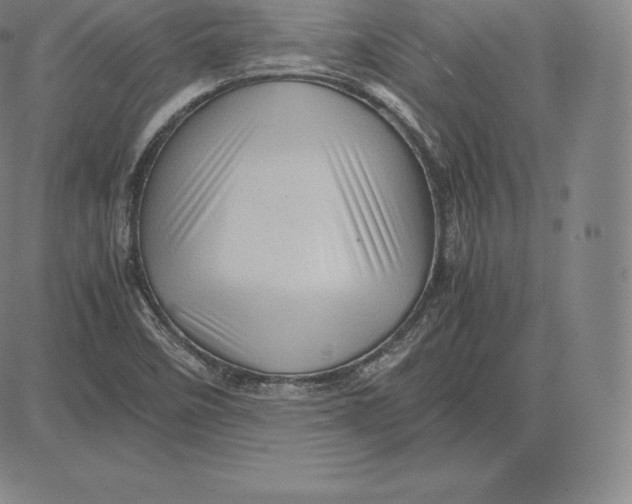 X0000083621458200703051556