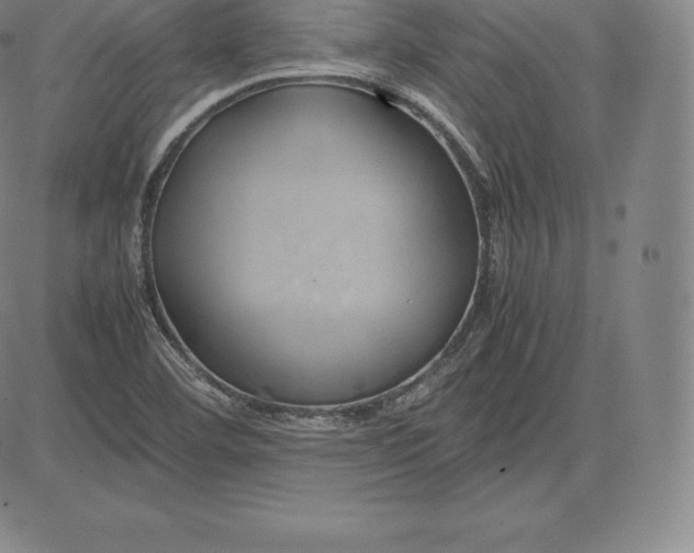 X0000083621460200703051556