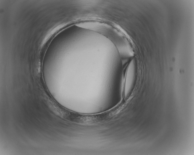 X0000083621461200703051556