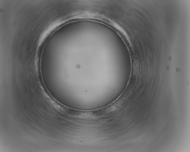 X0000083621464200703051556