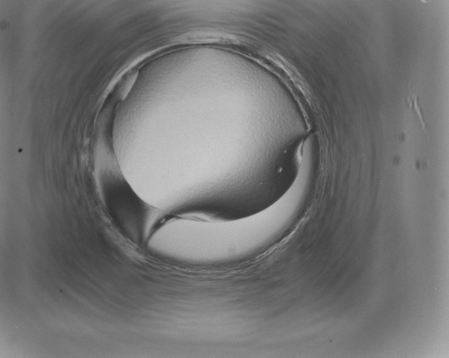 X0000083621465200703051556