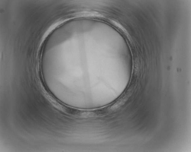 X0000083621467200703051556