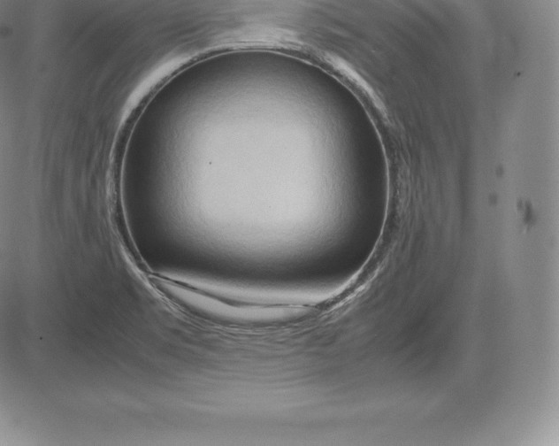 X0000083621469200703051556