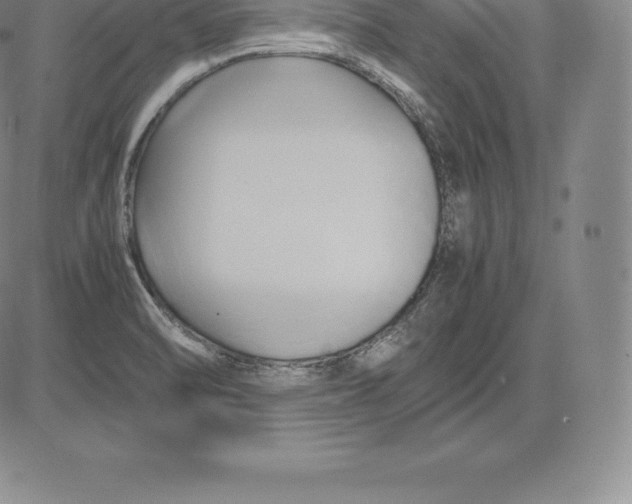 X0000083621470200703051556