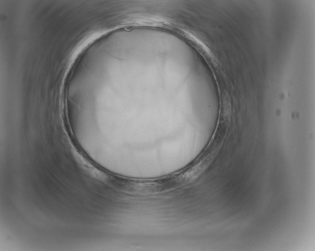 X0000083621471200703051556