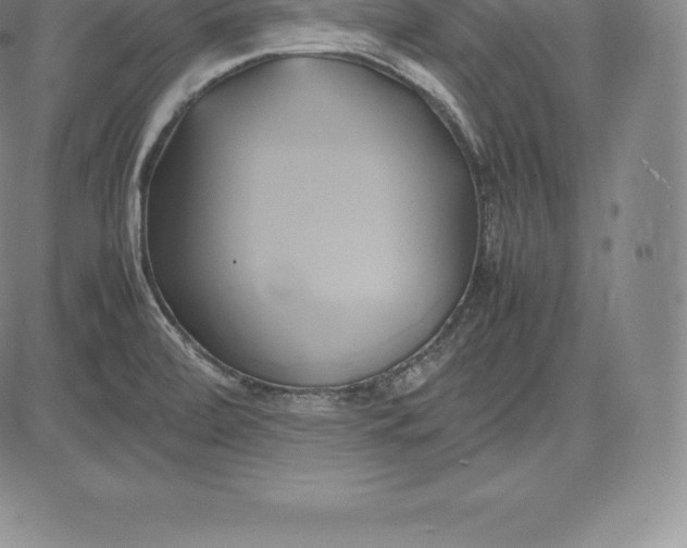 X0000083621472200703051556