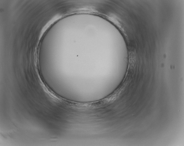 X0000083621474200703051556