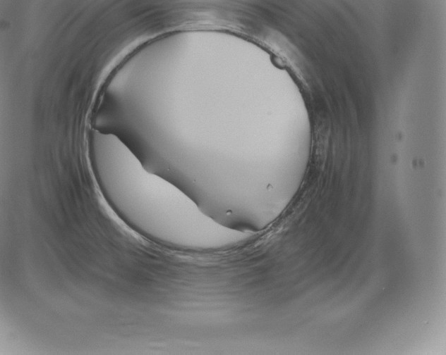 X0000083621476200703051556