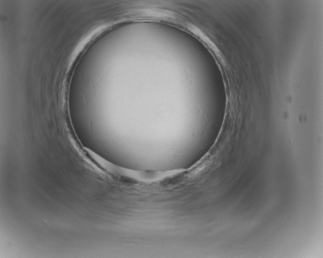 X0000083621477200703051556