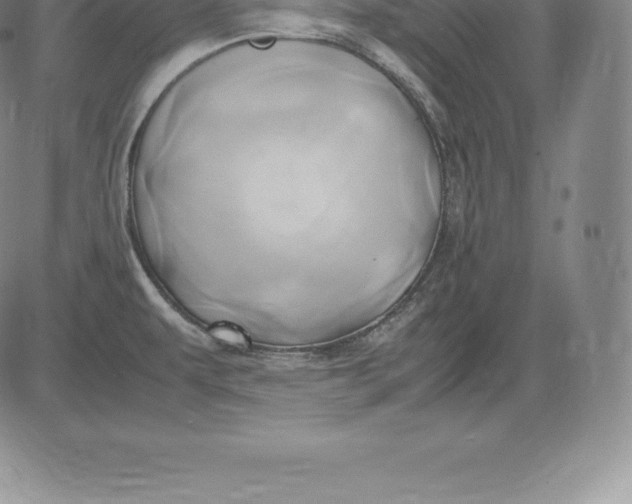 X0000083621479200703051556