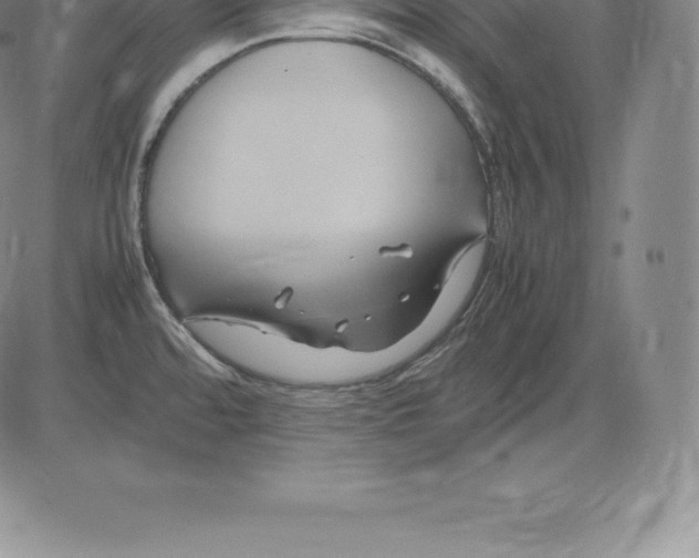 X0000083621480200703051556