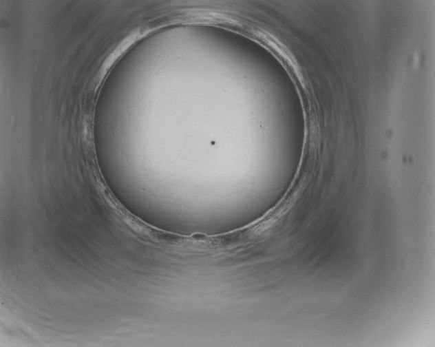 X0000083621481200703051556