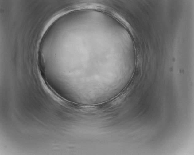 X0000083621483200703051556