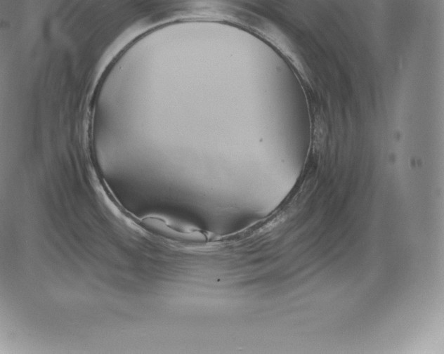 X0000083621484200703051556