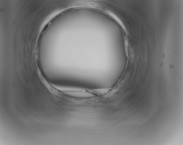 X0000083621485200703051556