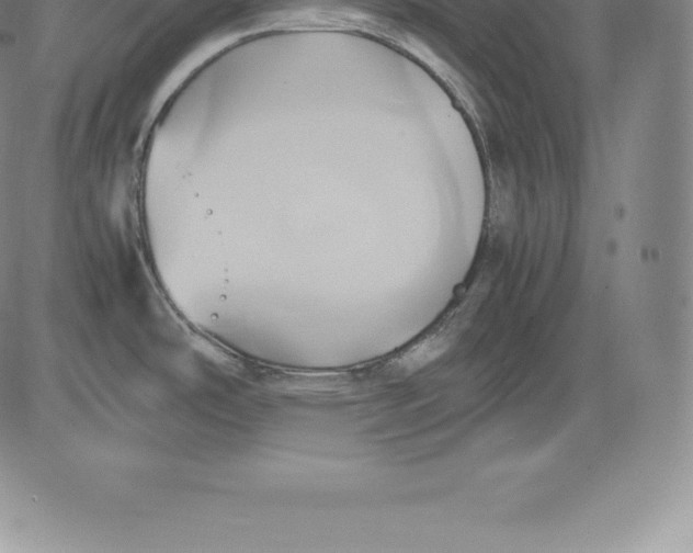 X0000083621486200703051556