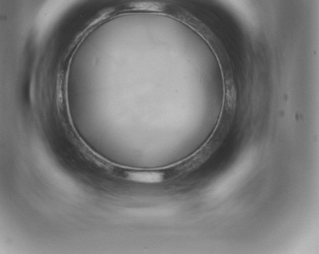 X0000083621487200703051556