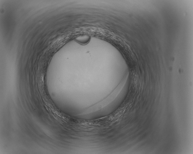 X0000083621489200703051555