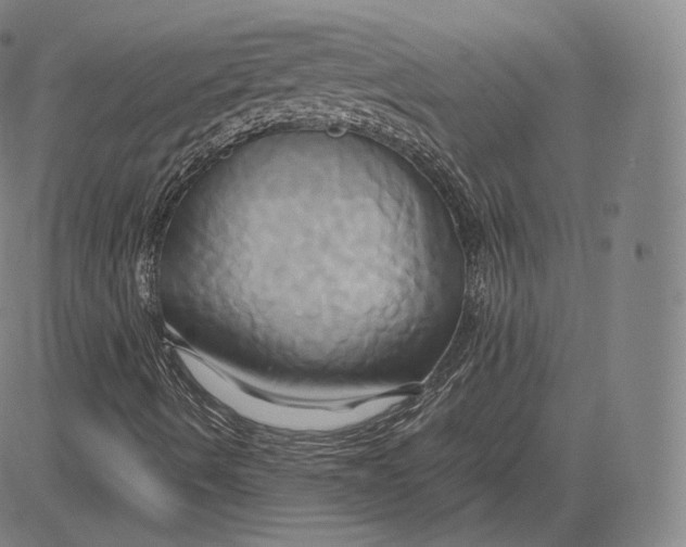 X0000083621490200703051555