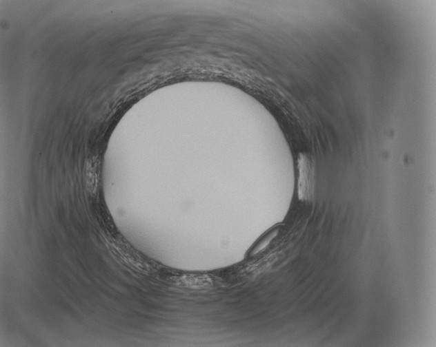 X0000083621491200703051555