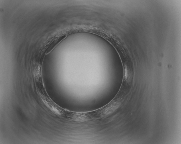 X0000083621492200703051555