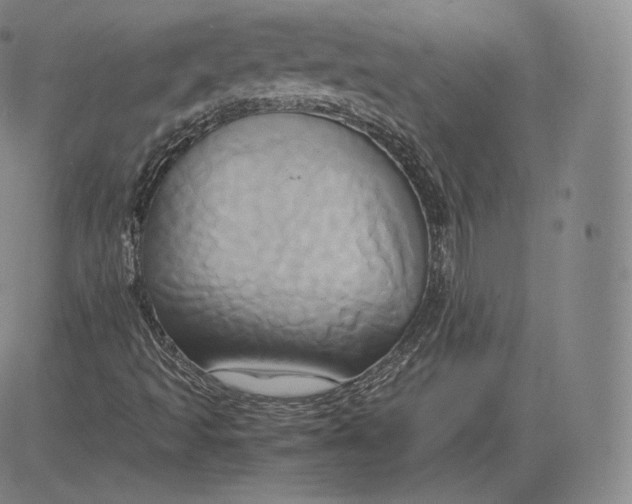 X0000083621493200703051555