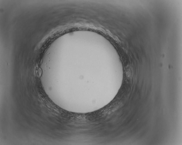 X0000083621495200703051555