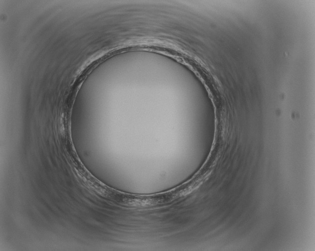 X0000083621497200703051555