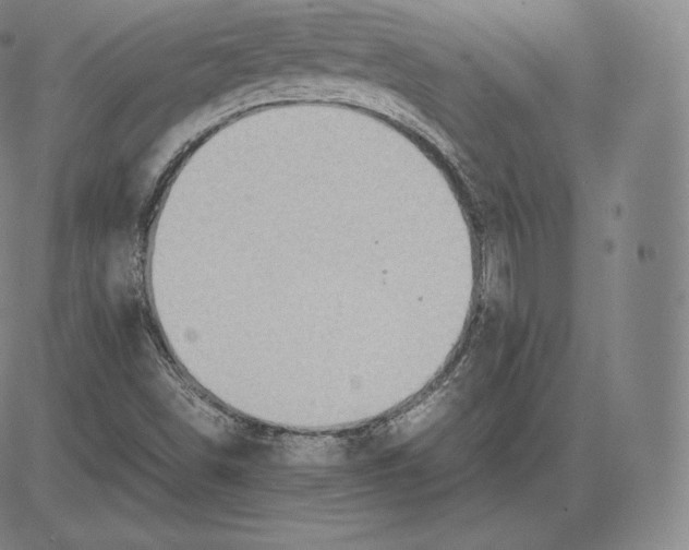 X0000083621498200703051555