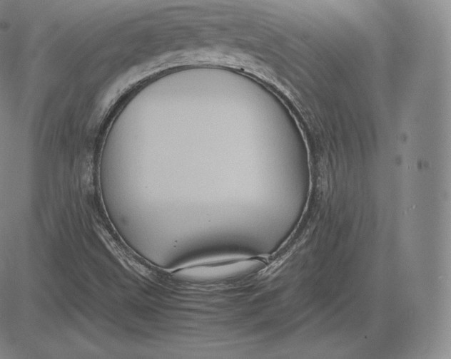 X0000083621499200703051555