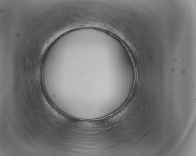 X0000083621500200703051555