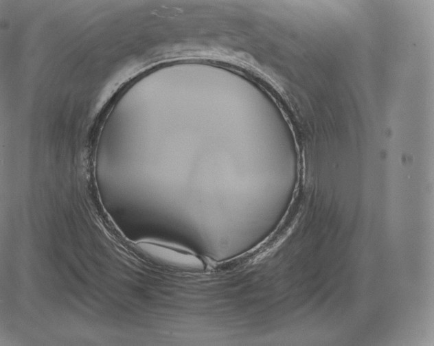 X0000083621501200703051555