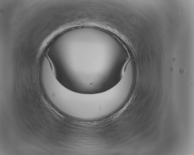 X0000083621502200703051555