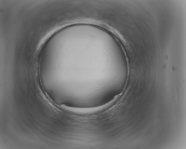 X0000083621504200703051555