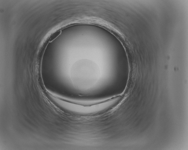 X0000083621506200703051555