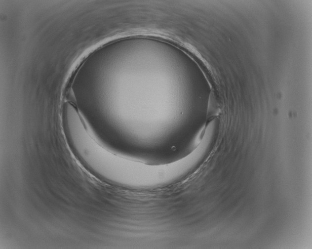 X0000083621508200703051556