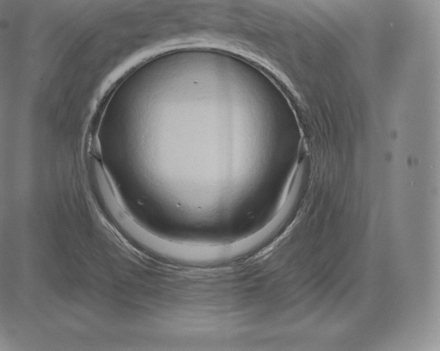 X0000083621510200703051556