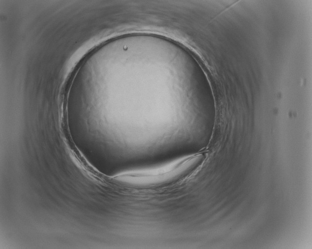 X0000083621511200703051556