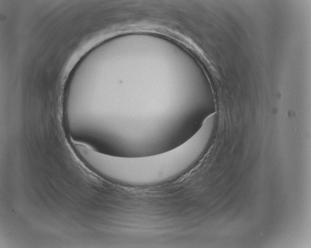 X0000083621512200703051556