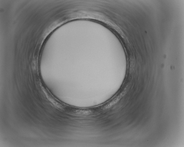 X0000083621513200703051556