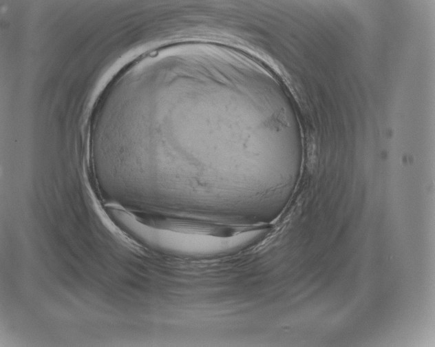 X0000083621515200703051556