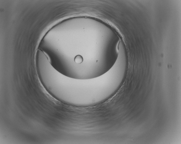 X0000083621516200703051556