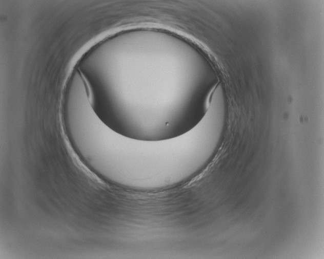 X0000083621518200703051556