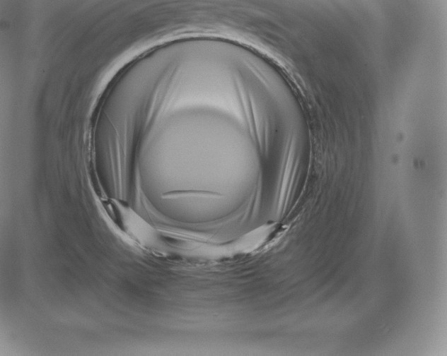 X0000083621519200703051556