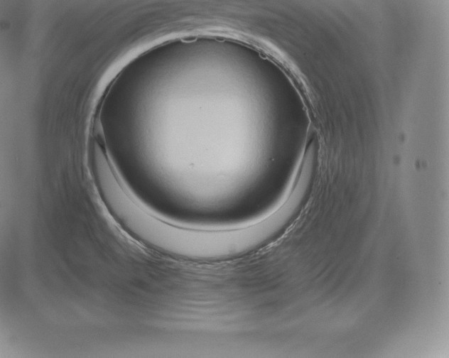 X0000083621520200703051556