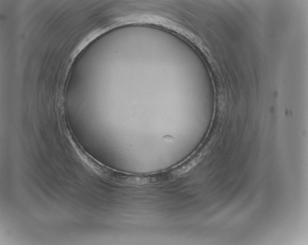 X0000083621521200703051556