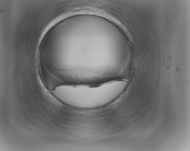 X0000083621522200703051556