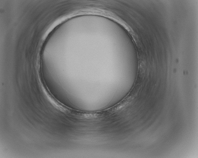 X0000083621523200703051556