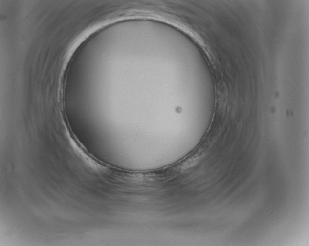 X0000083621527200703051556