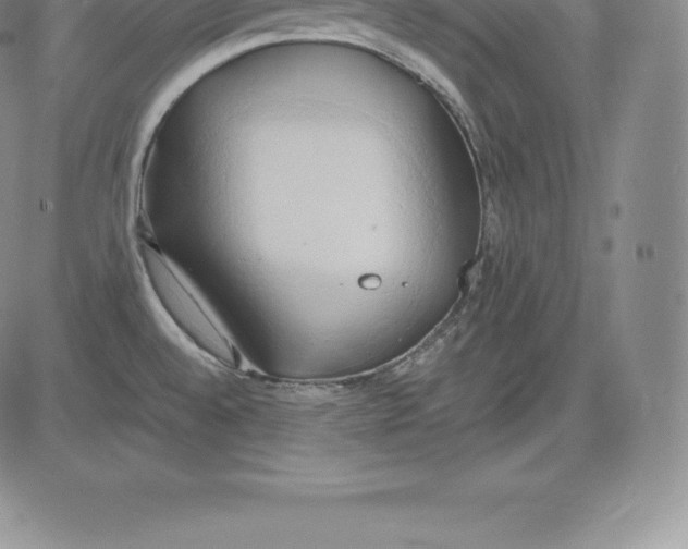 X0000083621528200703051556